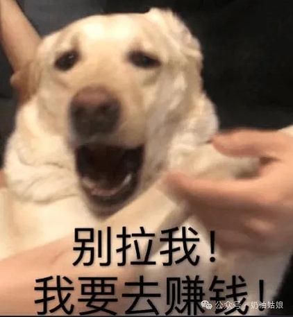 虚拟货币案件该找谁？一文读懂公安部门的三足鼎立